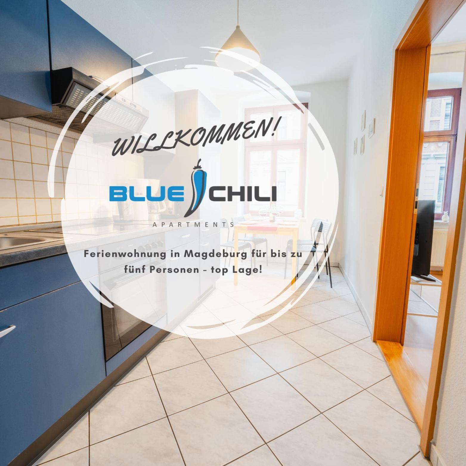 Blue Chili 08 - Magdeburg 2-Zimmer Altbau, Wi-Fi, 5 Pax المظهر الخارجي الصورة